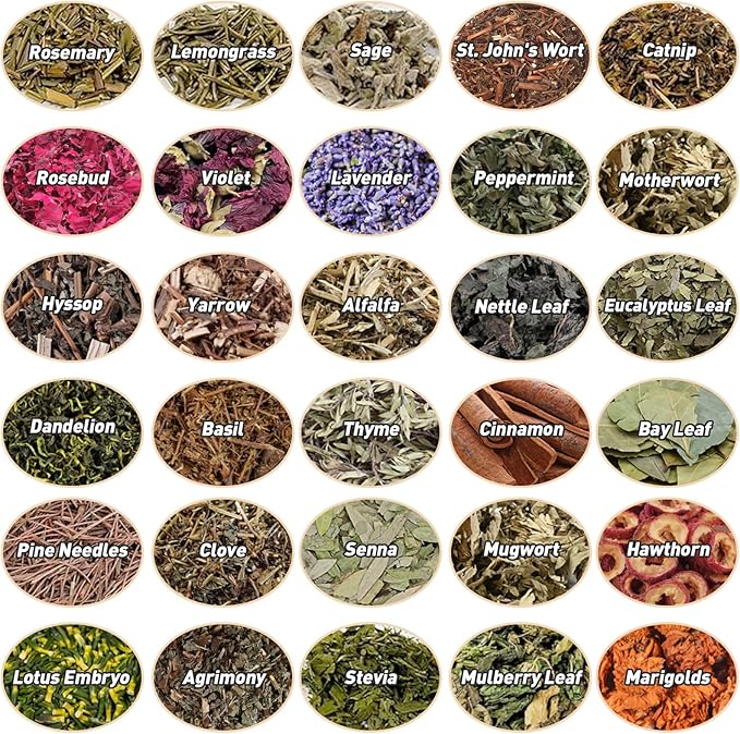 30 Pack Witchcraft Supplies Herbs, Dried Herbs and Flowers Bottles Kit for Witch Beginner, Wiccan, Wicca Altar Supplies, Magic Spell, Candle and Soap Making, with Witchy Spoon, Bell and More