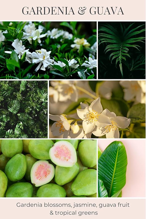 Eco Candle Co. Recycled Candle, Gardenia & Guava, 6 oz. - Scents of Gardenia, Jasmine, Guava, & Tropical Greens - 100% Soy Wax, No Lead, Kraft Paper Label & Lid, Hand Poured, Midwest Grown Soybeans