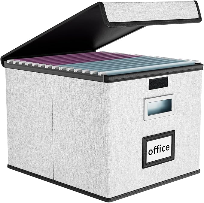 Huolewa File Organizer Box with Lid, Collapsible File Folder Organizer for Office Document Storage, Filing Box with Plastic Slide for Letter Size Hanging File Folders(1 Pack, White)