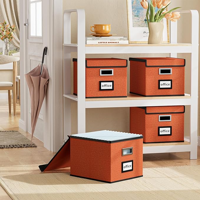 Huolewa File Organizer Box with Lid, Collapsible File Folder Organizer for Office Document Storage, Filing Box with Plastic Slide for Letter Size Hanging File Folders(1 Pack, Reddish Organge)