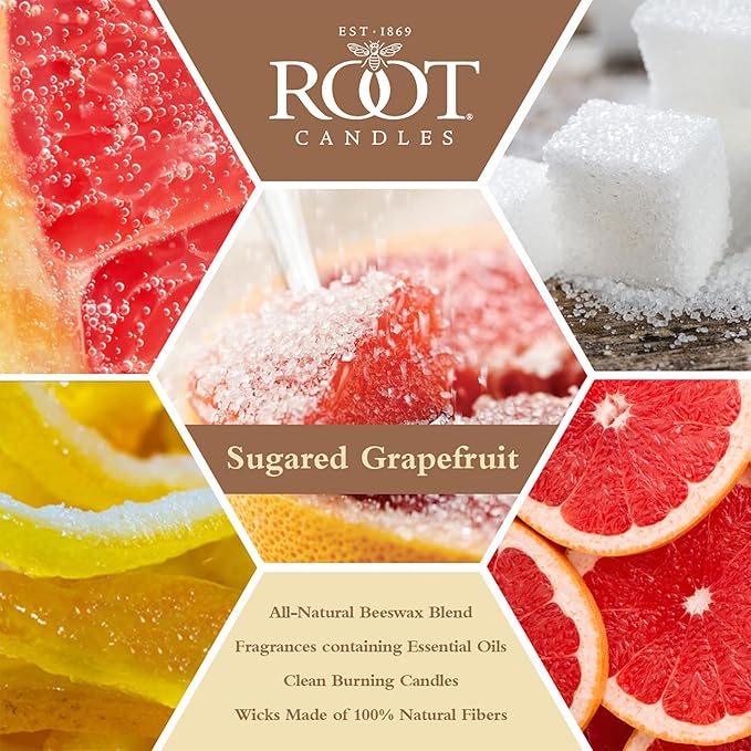 Root Candles Scented Candles Honeycomb Beeswax Blend Premium Handcrafted Candle, Large Veriglass, Sugared Grapefruit