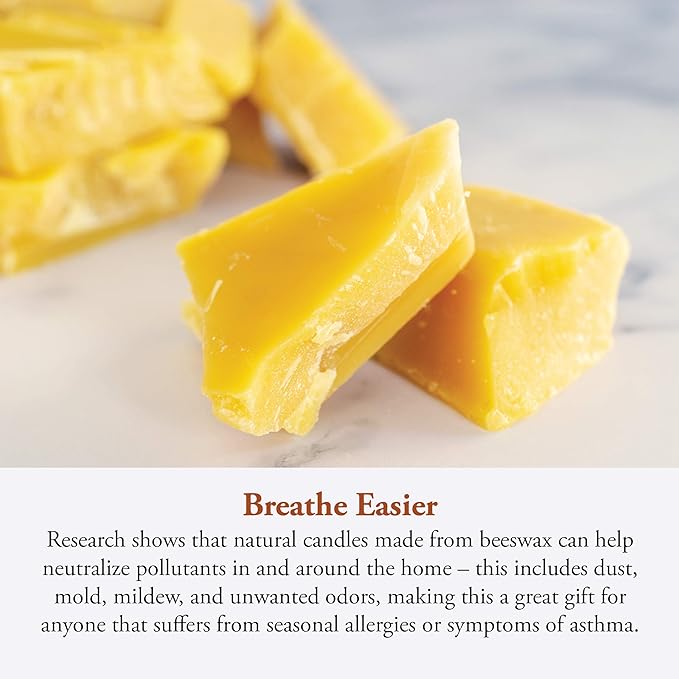 Candle by the Hour 80-Hour Citronella Candle Refill, Eco-friendly Natural Beeswax with Cotton Wick,Yellow