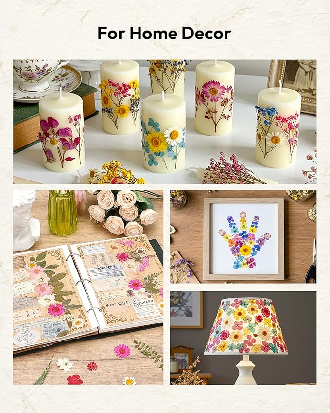 Dried Flowers, Resiners 100Pcs Pressed Flowers for Craft Purple Real Natural Dried Flowers Dry Leaves Kit for DIY Making Crafts Resin Soap Candle Scrapbook Supplies Card Making Jewelry