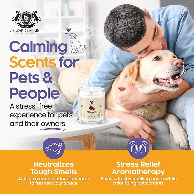 Pet Odor Eliminator Candle Balancing Rose Scented Candle, Calming Candles Aromatherapy for Home Decor, Soy Wax Pet Candles Odor Eliminator for Animal Lover, Aromatherapy by Gerrard Larriett