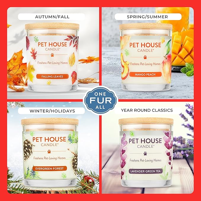 One Fur All Pet Candle 9 OZ Plant-Based Air Freshening Candle, Clean Burning and Long Lasting with a 60 Hour Burn Time - Candy Cane