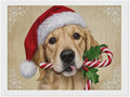 Diamond Painting Kits for Adults - Christmas Golden Retriever Puppy in Santa Hat with Candy Cane Painting DIY 5D Full Drill Diamond Dots Paintings with Diamonds Gem Art And Crafts Home Decor 12"x16"
