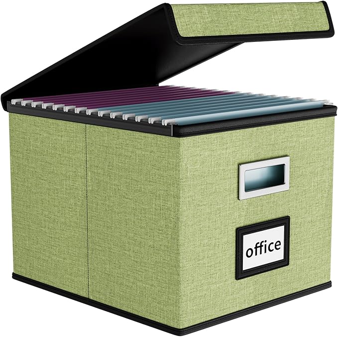 Huolewa File Organizer Box with Lid, Collapsible File Folder Organizer for Office Document Storage, Filing Box with Plastic Slide for Letter Size Hanging File Folders(1 Pack, Green)