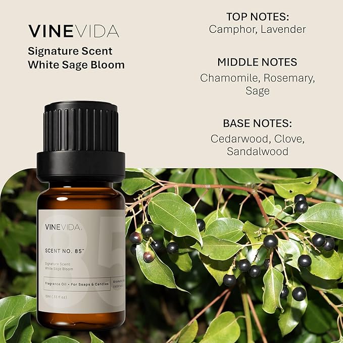 VINEVIDA [0.33oz] Scent No.85 Fragrance Oil - Natural Candle Scents for Candle & Soap Making - Made in USA