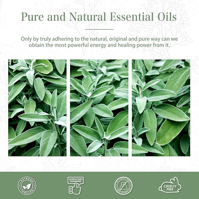 Clary Sage Essential Oil, 1.01Fl.Oz (30ML) PHATOIL Pure Essential Oil Singles for Aromatherapy Diffusers, Humidifiers, Great for DIY Candle and Soap Making, Gift for Friend