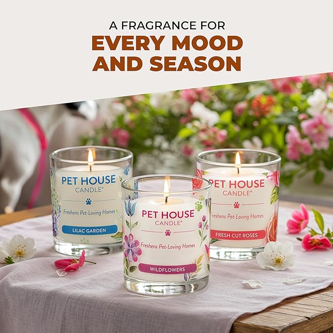 One Fur All Pet House Fall Candles, Long Lasting, Clean Burning, Soy Wax Scented Candles for Pet Odor, Pumpkin Spice, 2 Pack