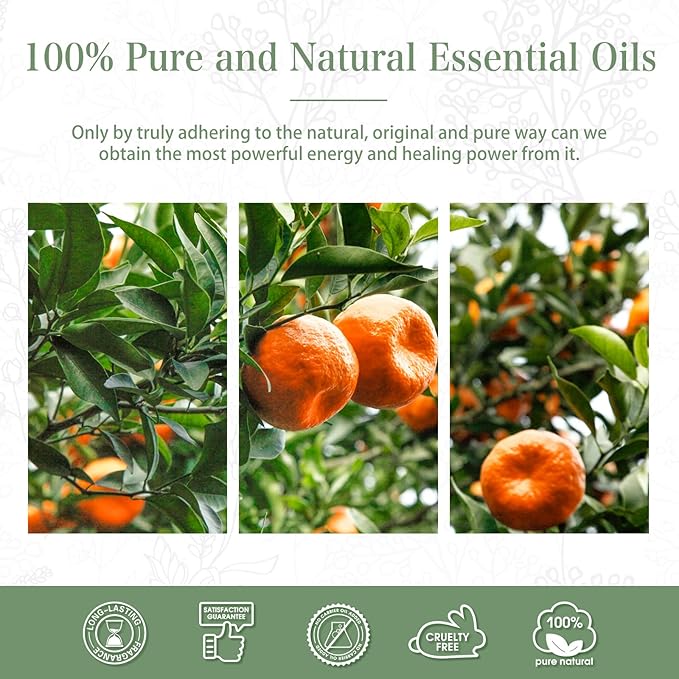 PHATOIL 3.38FL.OZ Tangerine Essential Oil, for Aromatherapy Diffusers, Humidifiers, Great for DIY Candle and Soap Making, Huge 100ML Bottle
