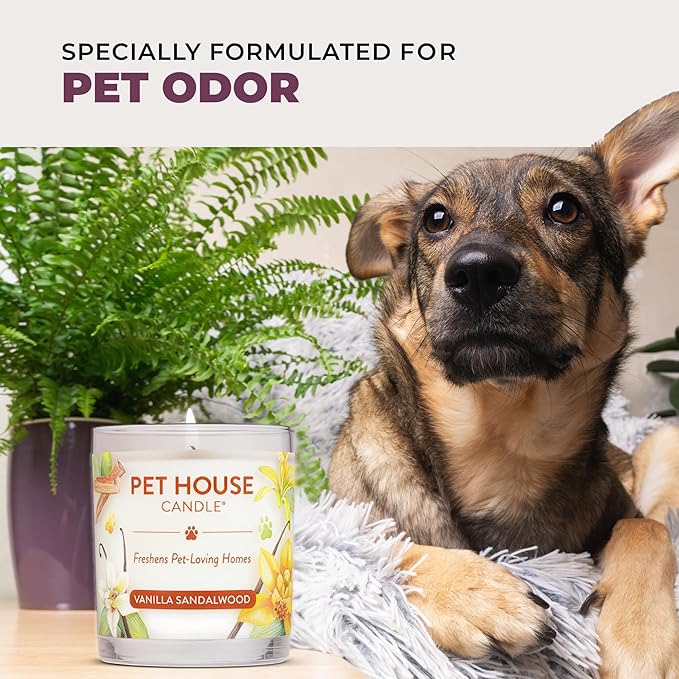 Pet House Candles, Scented Pet Friendly Candles, Clean Burning Plant-Based with a Natural Fiber Wick - BlackBerry Tea, 9 oz, 2 Pack