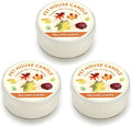 Pet House Mini Candles for Pet Odor Made with Natural Soy Wax, Plant Based, Dog and Cat Friendly Scented, Falling Leaves Pack of 3