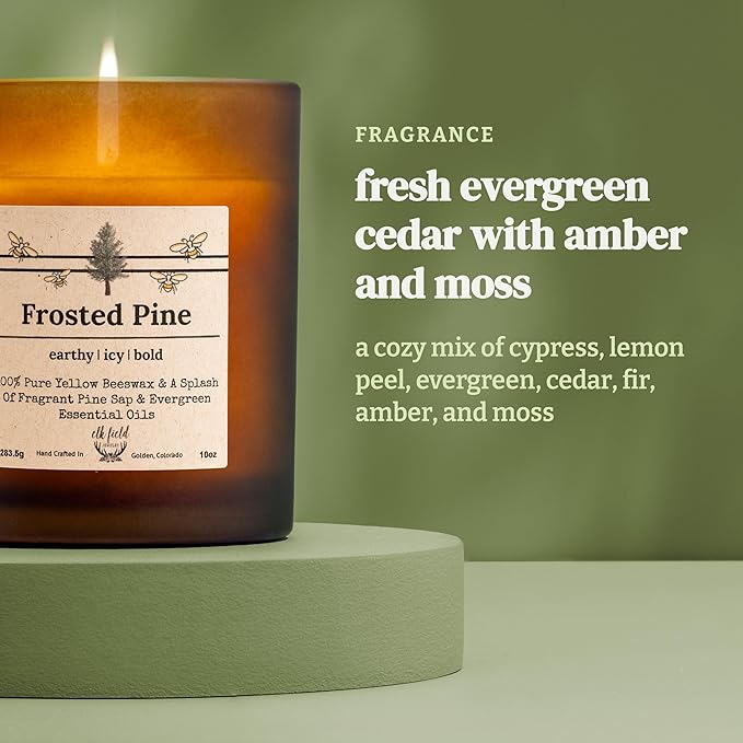 Frosted Pine Organic Beeswax Candle | 2 Ingredients | 100% Pure Beeswax Candles, Non Toxic, Natural, Organic Candles, Beeswax Candles Scented, Non Toxic Candles, 80 Hour, 14oz