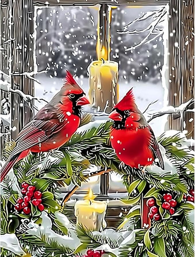 Skyboda Christmas Diamond Art Kits for Adults Beginners, Christmas Cardinal Diamond Painting Kits for Adults,5D Full Drill DIY Diamond Dot Gem Art Kit Wall Home Decor Arts Craft 12x16 inch
