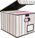 BALEINE File Organizer Box with Lid, Collapsible File Folder Organizer with Plastic Slide, Hanging File Folder Box for Office Document Storage (1 Pack, Color Stripe)
