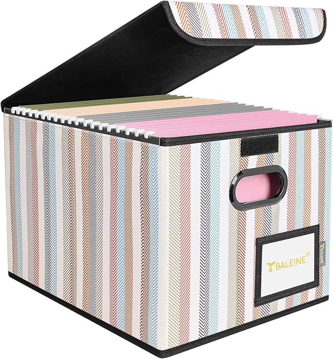 BALEINE File Organizer Box with Lid, Collapsible File Folder Organizer with Plastic Slide, Hanging File Folder Box for Office Document Storage (1 Pack, Color Stripe)