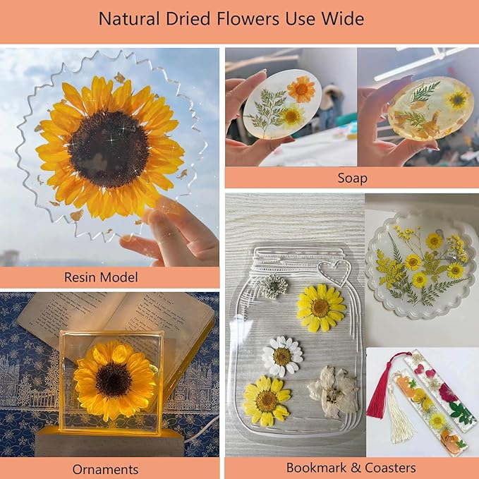 50 Pcs Dried Flowers for Resin,Real Pressed Flowers Leaves Mixed Multiple Natural Kit for Christmas DIY Gift,Art Crafts,Candle, Soap Making, Nails Decor