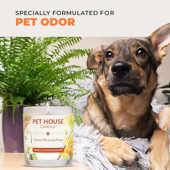 One Fur All Pet House Fall Candles, Long Lasting, Clean Burning, Soy Wax Scented Candles for Pet Odor, Orange Spice