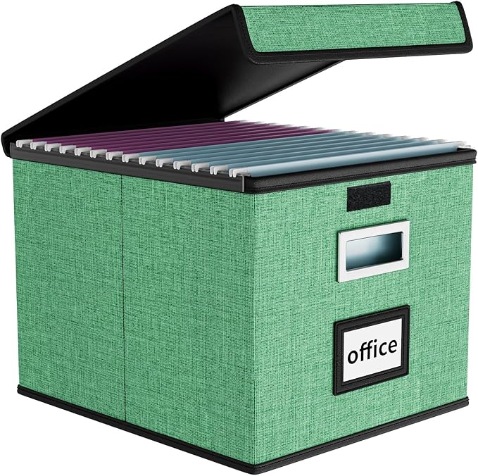 Huolewa File Organizer Box with Lid, Collapsible File Folder Organizer for Office Document Storage, Filing Box with Plastic Slide for Letter Size Hanging File Folders(1 Pack, Light Green)