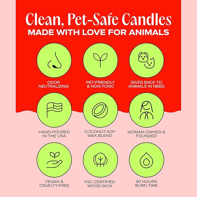 Companion Candles Anywhere with You Pet-Friendly Scented Candle – Grapefruit & Vanilla Fragrance - Coconut Soy Wax Candle with Wooden Wick, Approx. 50-Hour Burn Time, Made in USA, 11.8 oz