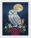 KIVJMSIDJA Snowy Owl & Candle Glow - Winter Night Scene Diamond Painting Kits for Adults,Diamond Art Kits for Beginners 5D Round Diamond 16"x20"