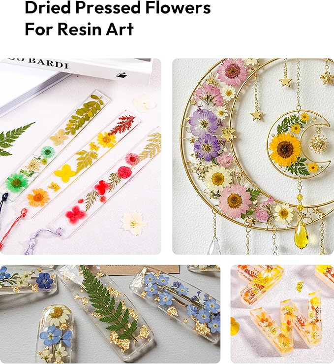 Dried Pressed Flowers, Resiners Dried Flowers for Candle Making Real Natural Pressed Flowers Dry Leaves Kit for DIY Crafts Resin Soap Scrapbook Card Making Jewelry (Gerbera Daisy 100pcs)
