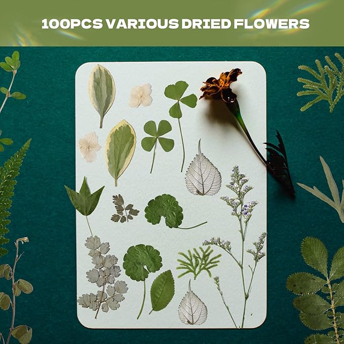 CONVELIFE 63 Pcs Pressed Leaves, 21 Styles Dried Flowers for Resin, Natural Dry Leaves for Pressed Leaf Art Craft DIY Embellishment Decorations