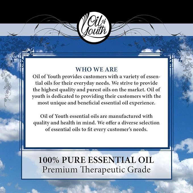 Oil of Youth - Cinnamon Essential Oil (16oz Bulk) Pure Therapeutic Grade Essential Oil for Aromatherapy, Diffuser, Muscle Relief, Skin Therapy