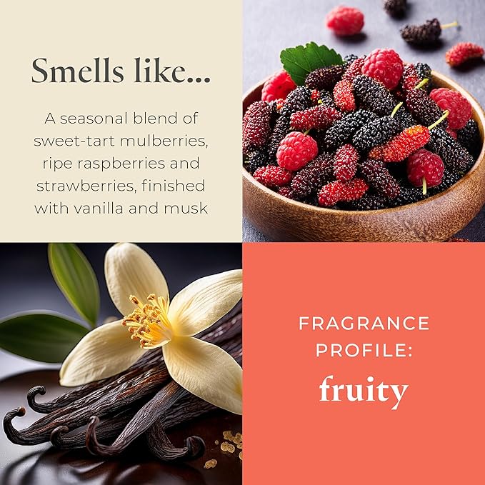 PartyLite Mulberry Scented, Notes of Tart Black Currant, Sweet Blackberry, Juicy Mulberry & Jewels of Pomegranate, 13.2oz 3-Wick Jar Candle, 45 Hour Burn Time, Luxurious Fragrance, Perfect for Gifting