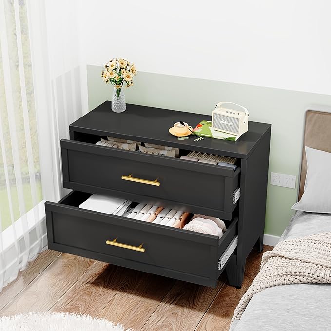 Ckzbx Metal Dresser for Bedroom 2 Drawers Dresser Metal Storage Dressers Organizer,24.8" H Black Drawer Chest, Closet Organizers for Living Room, Hallway, Closet