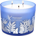 Large 3-Wick Soy Candle 14.5oz | Rainforest Lily Mist Scented Candle | Fresh Floral Aromatherapy Candle | Slow & Clean Burning | Luxury Relaxation Gift for Women and Men