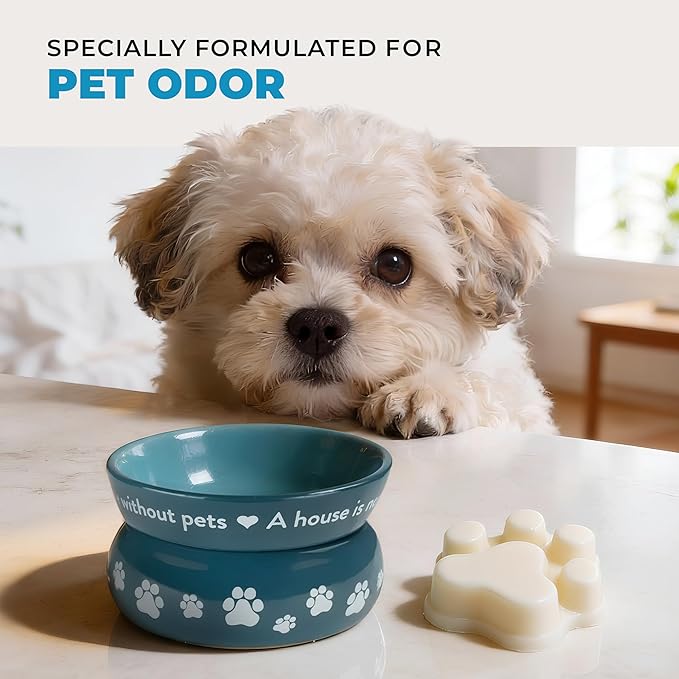 Pet House Fresh Linen Scented Wax Melts, Long-Lasting, Pet-Friendly Plant Based, Wax Melts for Home, Sunwashed Cotton, 3 OZ Each, 2 Pack