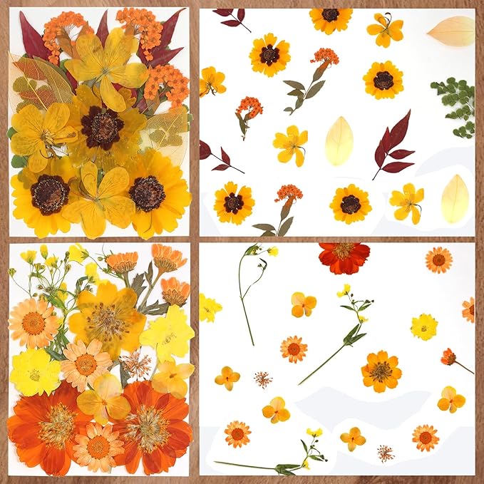 CONVELIFE Dried Flowers, 68Pcs Fall Pressed Flower with Tweezer for Crafts DIY Christmas Scrapbooking