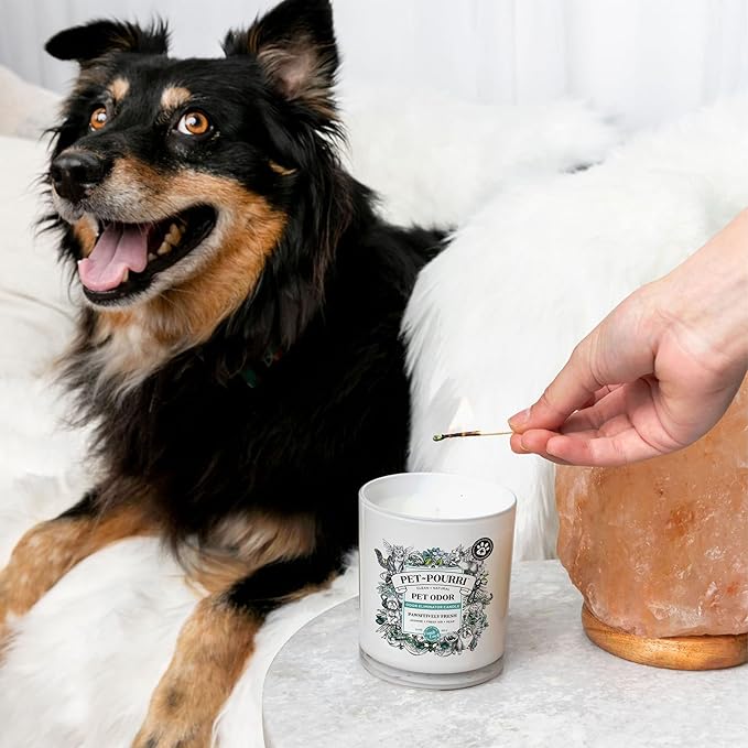Pet-Pourri Pawsitively Fresh Pet Odor Freshener Bundle - 16 Fl Oz Air + Fabric Spray, 7.5 Oz Candle Jasmine, Fresh Air and Pear