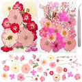 50Pcs Dried Pressed Flowers Real Pressed Flowers Natural Dry Leaves Bulk Mixed Colorful Herbs Kit with Tweezers for Scrapbooking DIY Candle Jewelry Crafts Making Nails (Pink)