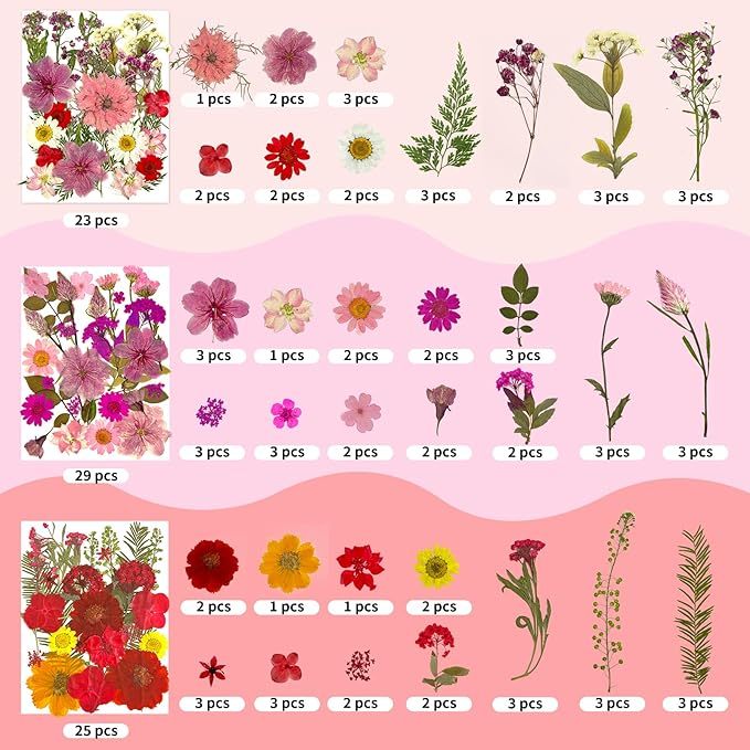 303Pcs Dried Pressed Flowers for Crafts, Dried Pressed Flowers for Resin, Natural Dried Flowers Kit with 80pcs Butterfly Stickers for DIY Resin Molds, Candles, Photo Frames, Jewelry Making, Art Crafts