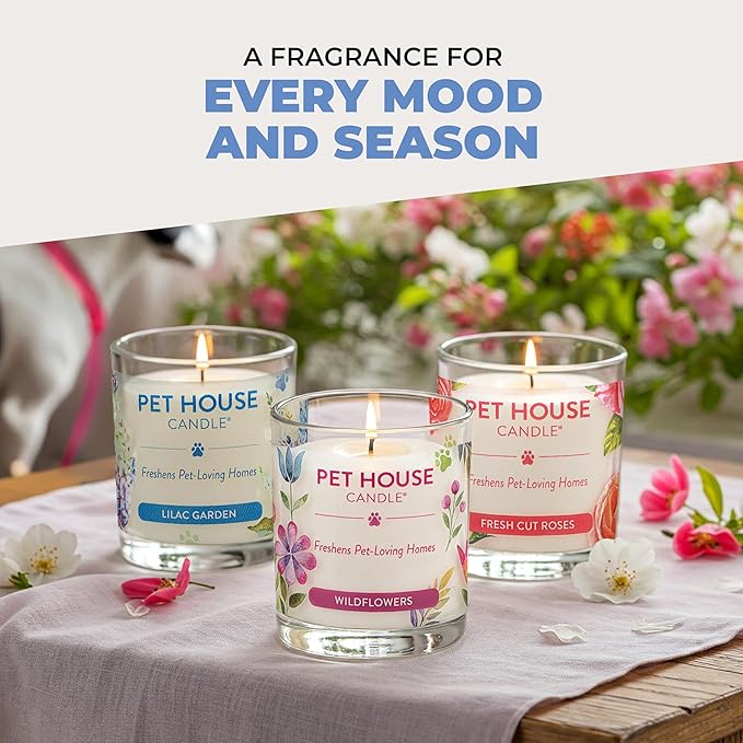 Pet House Pet Friendly Candle Plant Based Scented Candle Clean Burning, Long Lasting for Home, Sugar Cookies 2 Pack