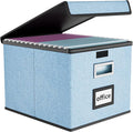 Huolewa File Organizer Box with Lid, Collapsible File Folder Organizer for Office Document Storage, Filing Box with Plastic Slide for Letter Size Hanging File Folders(1 Pack, Powderblue)