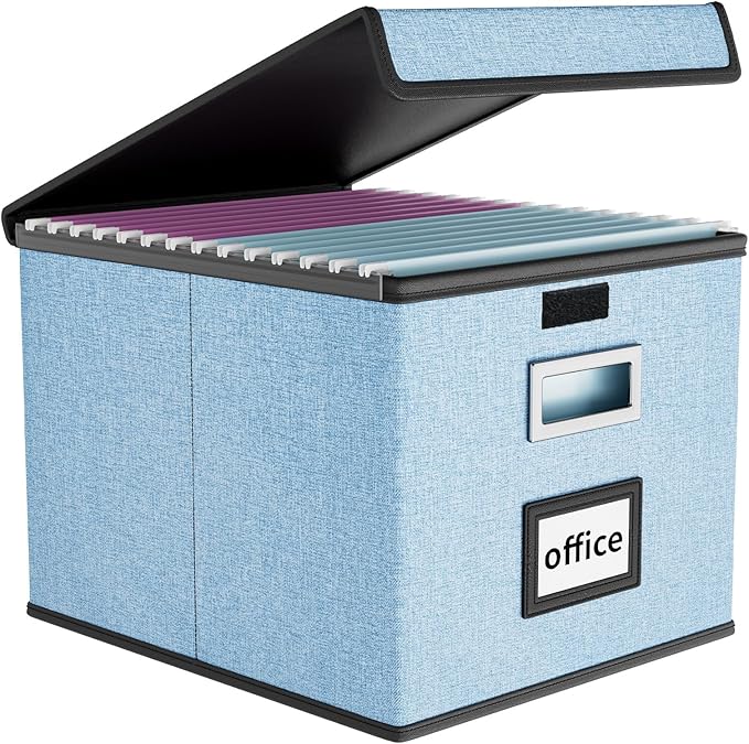 Huolewa File Organizer Box with Lid, Collapsible File Folder Organizer for Office Document Storage, Filing Box with Plastic Slide for Letter Size Hanging File Folders(1 Pack, Powderblue)