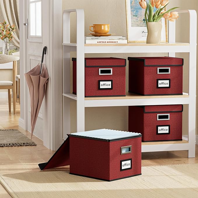 Huolewa File Organizer Box with Lid, Collapsible File Folder Organizer for Office Document Storage, Filing Box with Plastic Slide for Letter Size Hanging File Folders(1 Pack, Dark Red)