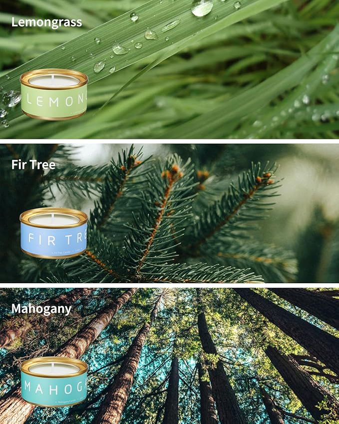 Scented Candles Gift Set, Natural Beeswax Aromatherapy Candles for Valentine's Day, Birthday, Christmas, Holiday Gift Ideas for Women, Small Portable Tin Travel, 6-Pack Variety Luxury Home Scents