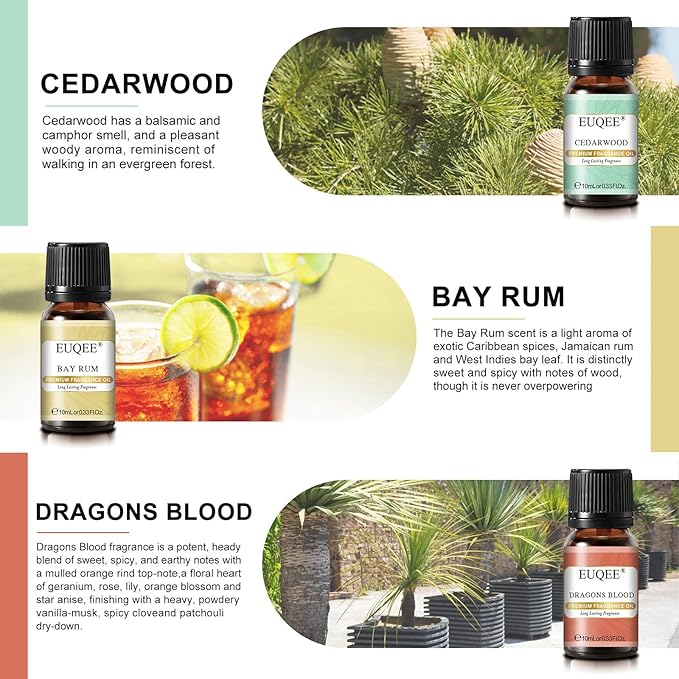 EUQEE 6PCS Fragrance Oils for Men, Men's Pubs Gift Set Premium Fragrance Oils -10ml-Leather, Honeyed Haze, Dragons Blood, Sandalwood, Bay Rum, Cedarwood (Men's Pubs)