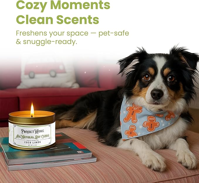 Coco Limone Pet Odor Eliminator Candle, Coconut Lime Scent, 6oz, Eco-Friendly Soy Wax, Made in USA, Pet-Safe, Natural Odor Removal Candle, Non-Toxic, Phthalate-Free, Cotton Wick