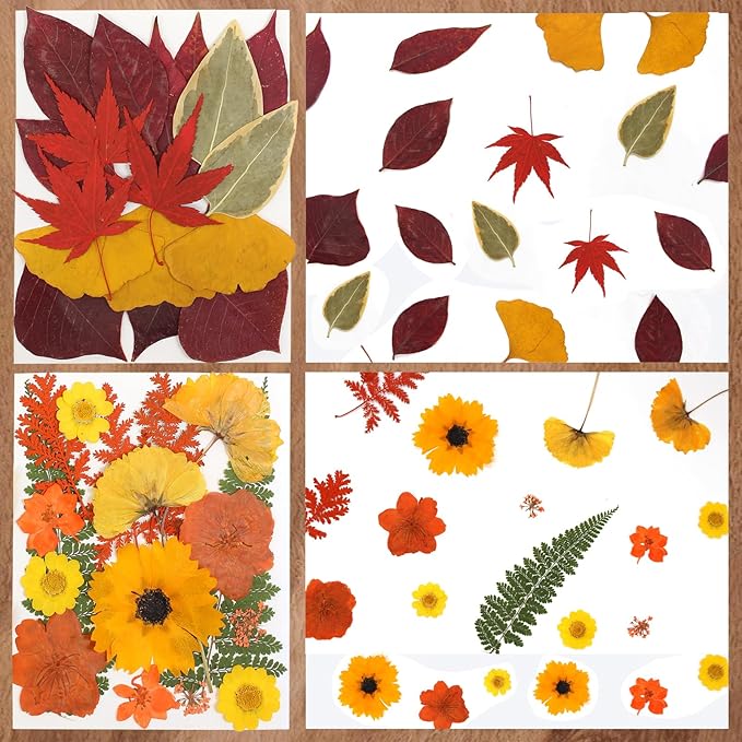 CONVELIFE Dried Flowers, 68Pcs Fall Pressed Flower with Tweezer for Crafts DIY Christmas Scrapbooking