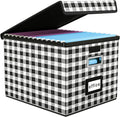 Huolewa File Organizer Box with Lid, Collapsible File Folder Organizer for Office Document Storage, Filing Box with Plastic Slide for Letter Size Hanging File Folders(1 Pack, Black & White Lattice)