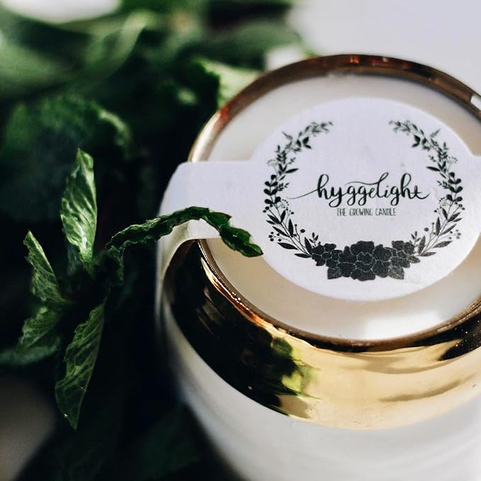 Hyggelight - The Growing Candle, Rosemary & Sage Scent, 10oz Ceramic Pot, Single Wick Aromatherapy Candles, 100% Soy for Women and Men, Clara