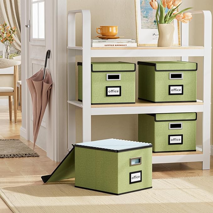 Huolewa File Organizer Box with Lid, Collapsible File Folder Organizer for Office Document Storage, Filing Box with Plastic Slide for Letter Size Hanging File Folders(1 Pack, Green)