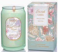 M&SENSE Basil Mint Candles for Home Scented, 10.6 Oz Soy Wax Candles Non Toxic Jar Candle Up to 60 Hours Long Burning Home Fragrance Gift for Stress Relief, Meditation, Yoga