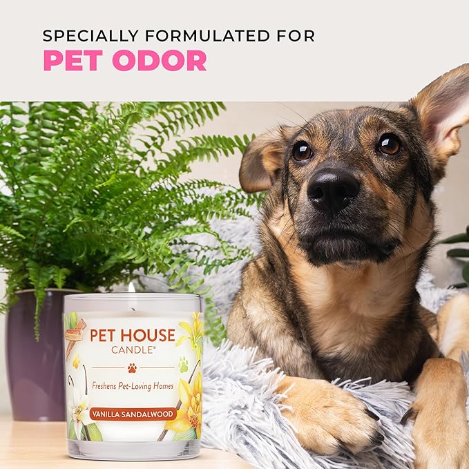Pet House Candles, Clean Burning, Long Lasting Pet Odor Candles, Plant-Based, 60 Hour Burn Time - Tropical Fruit, 9 oz, 2 Pack